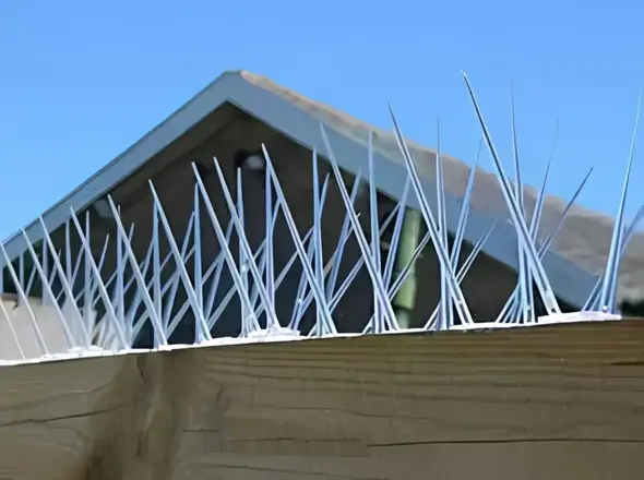 Bird Spikes Projects