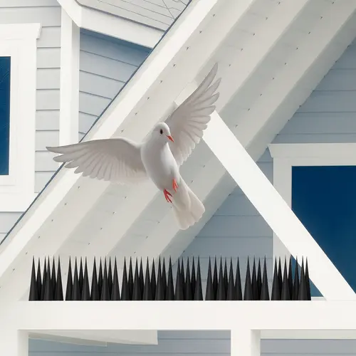 Premium Quality Anti Bird Spikes in Chennai, Tamil Nadu
